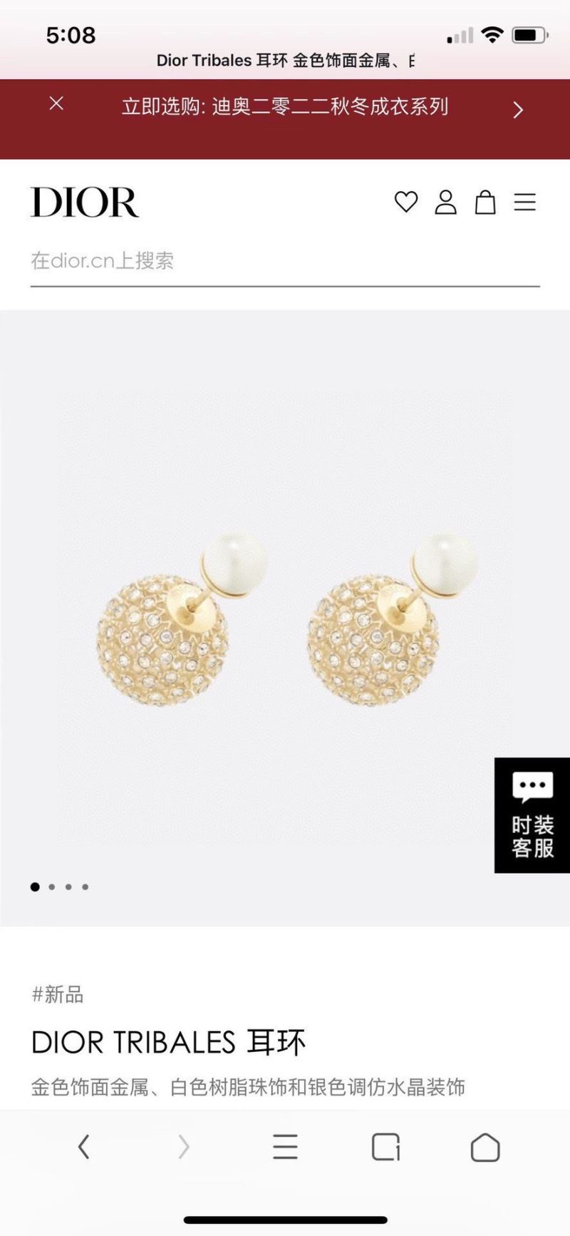 Christian Dior Earrings